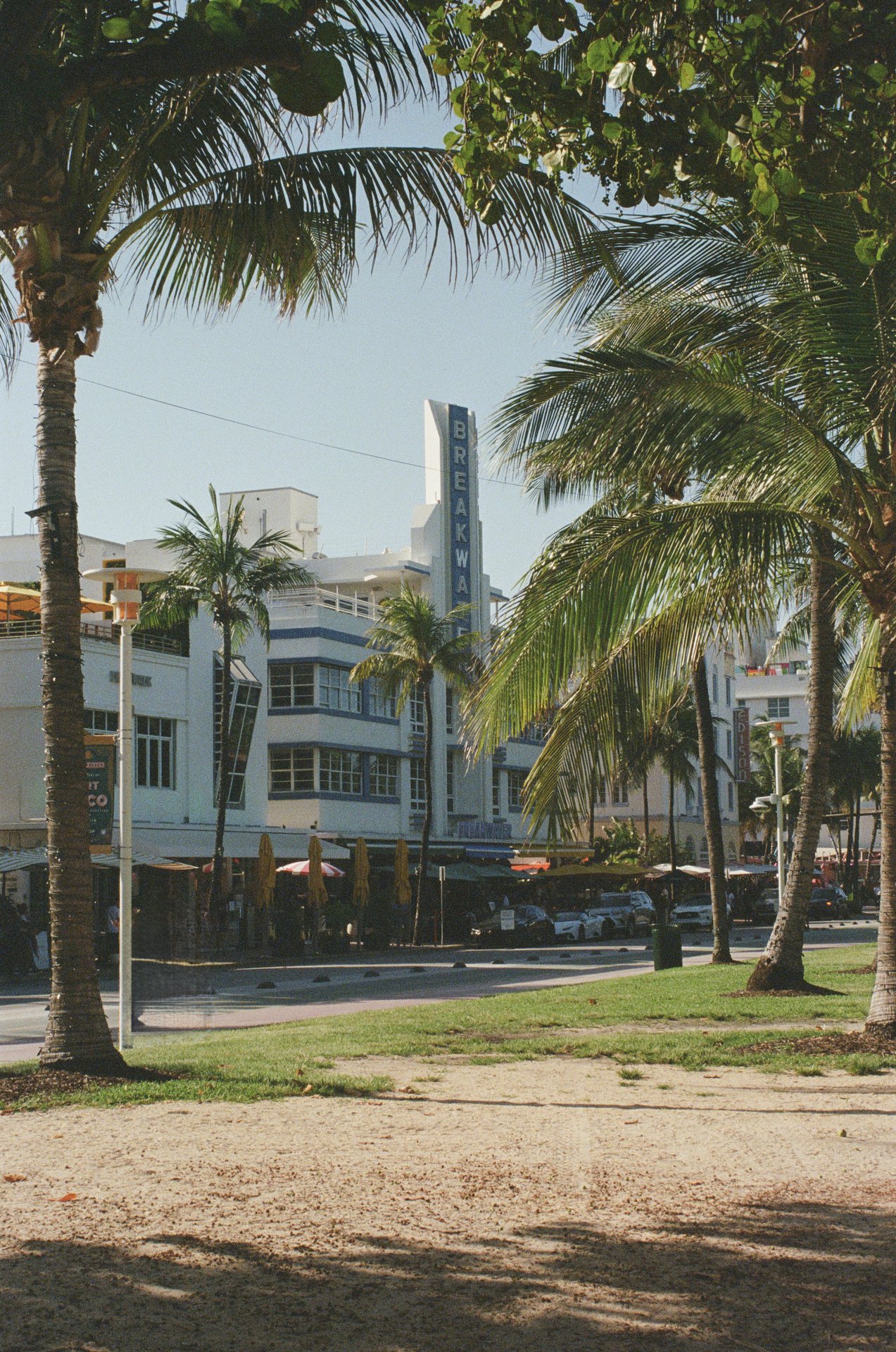 Miami Art Deco Palms